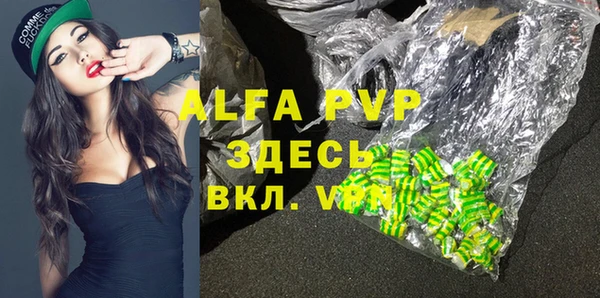 гидра Надым