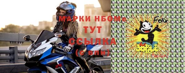 гидра Надым