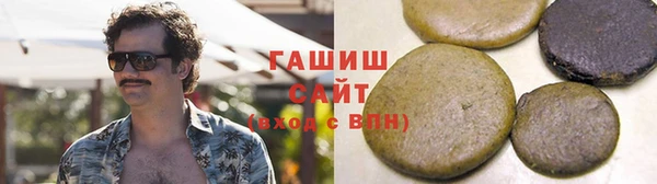 гидра Надым
