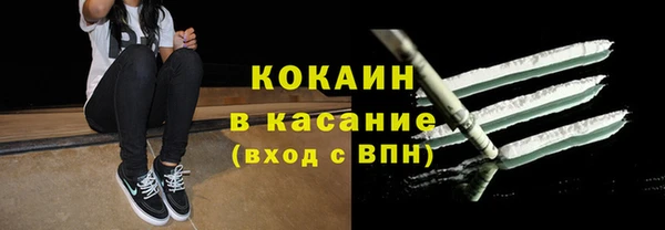 гидра Надым