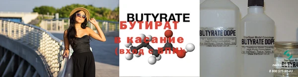 гидра Надым