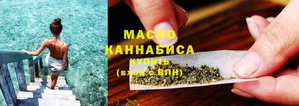 гидра Надым