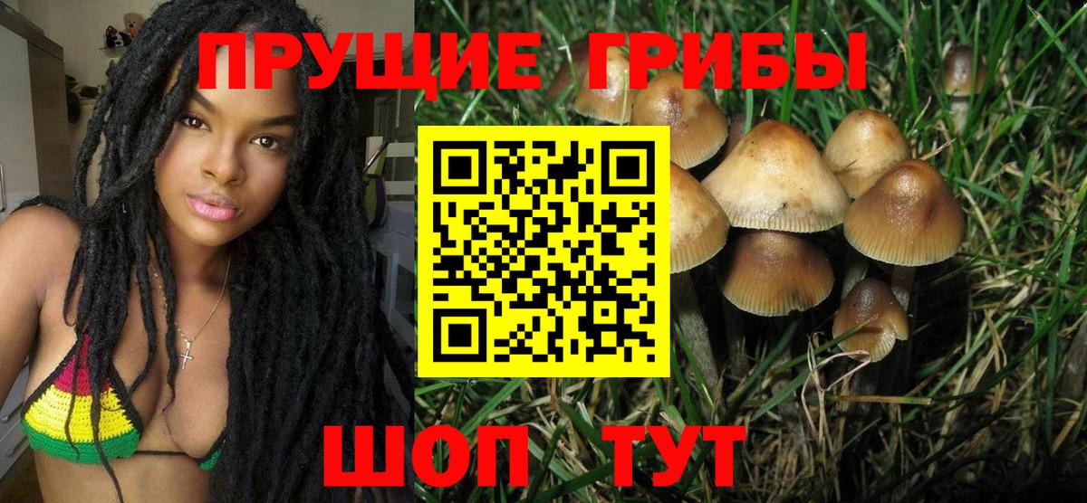 Галлюциногенные грибы GOLDEN TEACHER Самара